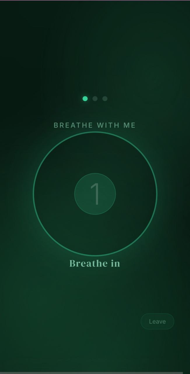 Zen Mode breathing circle with countdown